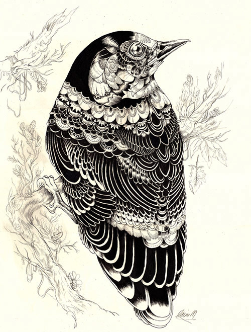 10 Gambar Ilustrasi Yang Menarik