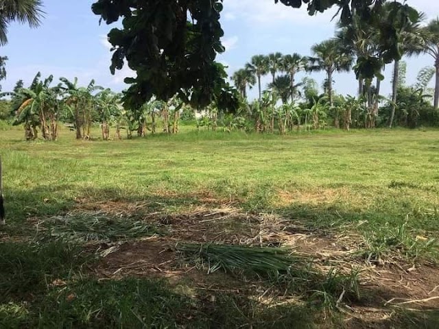 Lot for Sale in Liloan Cebu - Perfect Investment