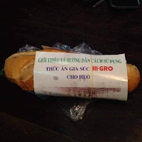 Buổi sáng của tôi (Haha)