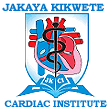 69 Job Vacancies at the Jakaya Kikwete Cardiac Institute 2022