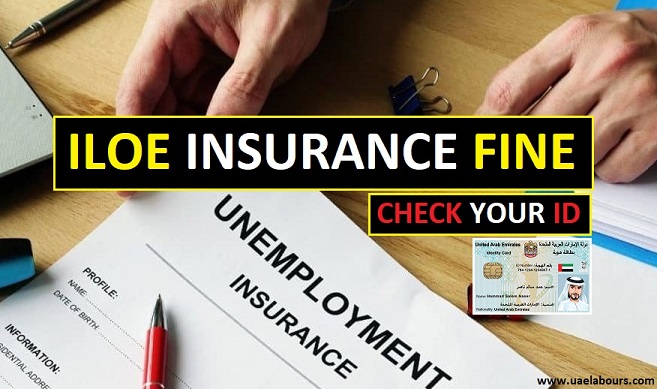 ILOE Insurance, ILOE Insurance uae, iloe fine check