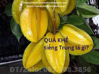 Quả khế tiếng Trung là gì?