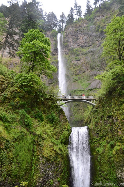 Multnomah Falls and Benson Bridge