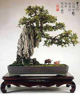 Ancient Penjing