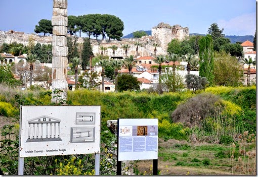 DSC_0265_Fotor