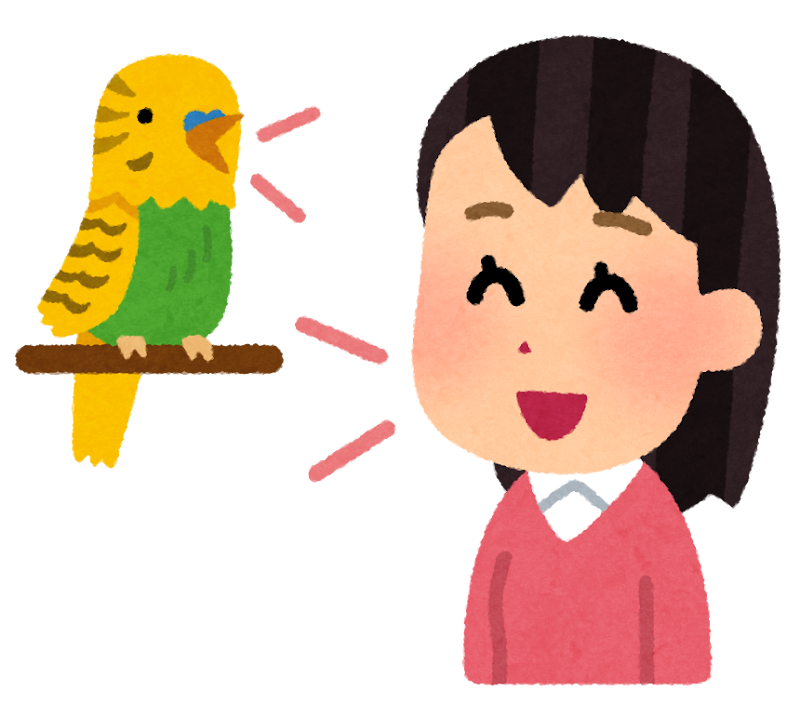 インコに言葉を教える人のイラスト かわいいフリー素材集 いらすとや