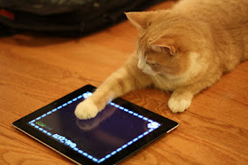 kucing bermain iPad
