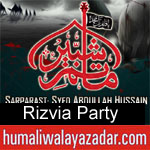 https://www.humaliwalayazadar.com/2014/10/rizvia-party-nohay-1993-to-2015.html