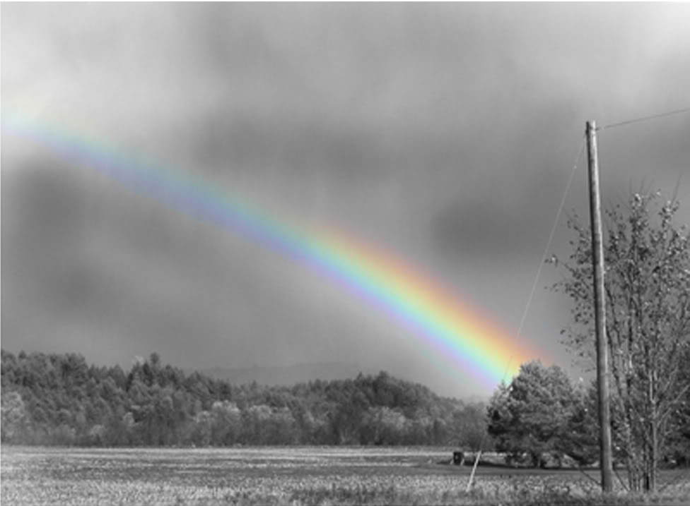 black and white rainbow photography. black and white rainbow. Three People In A Photo: Middle one will die first.