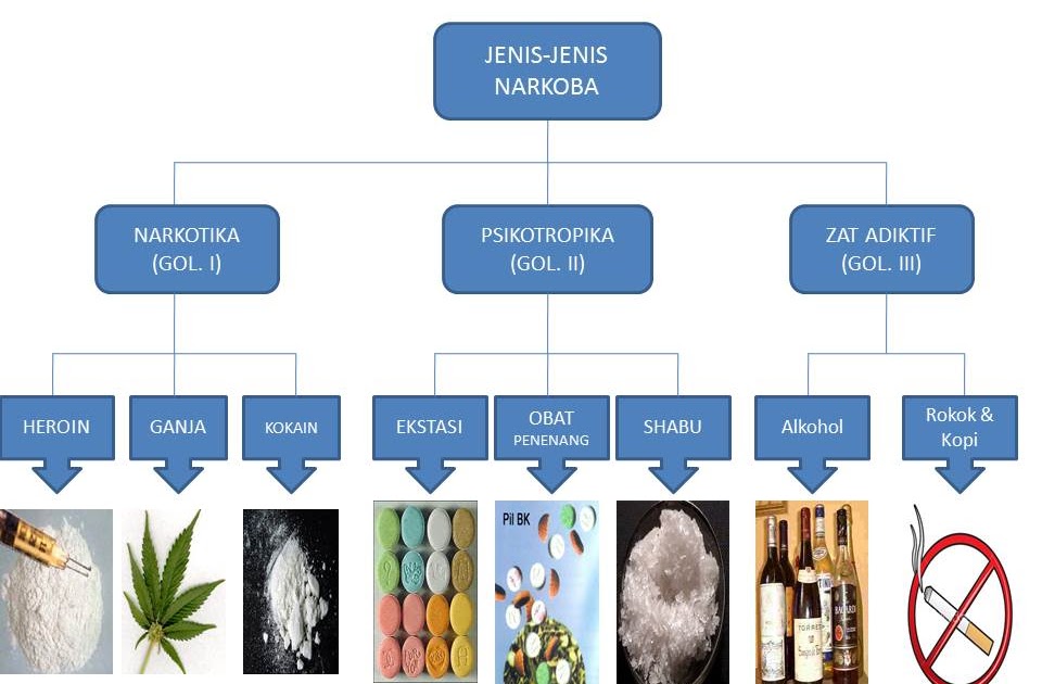 Free or Die Jenis Narkoba Secara Umum