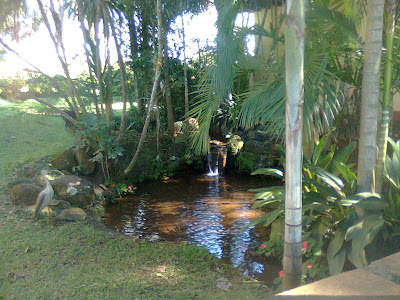 Fazenda Vista Alegre - Sertãozinho - SP