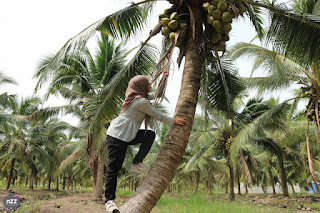 Terimakasih tailong datang ziarah kampung aku