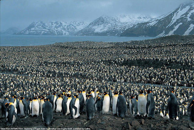 Penguin World