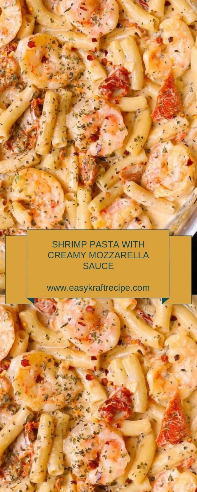 SHRIMP PASTA WITH CREAMY MOZZARELLA SAUCE