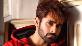 pearl-v-puri-gets-bail-in-alleged-rape-and-molestation-case-his-lawyer-confirms-the-news