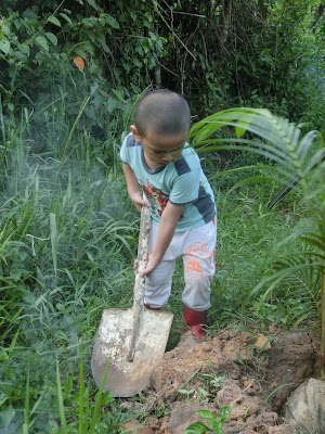 Ajar anak berkebun tanam pokok kelapa mudah dan cepat