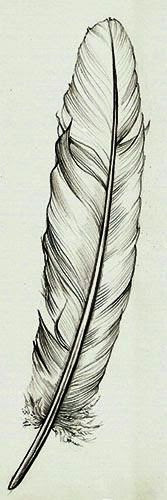 Feather tattoo stencil