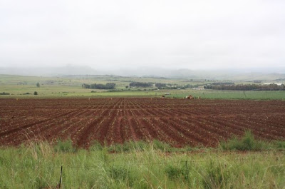 African-Farm-With-Naked-Land