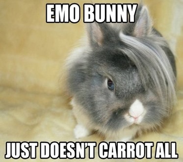 EmoBunny