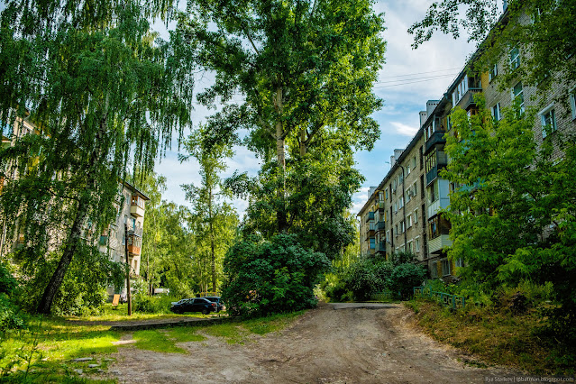 Пятиэтажки среди деревьев