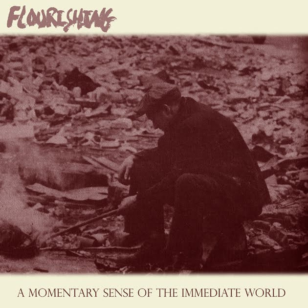 Flourishing (USA) - A Momentary Sense of the Immediate World EP (2010)