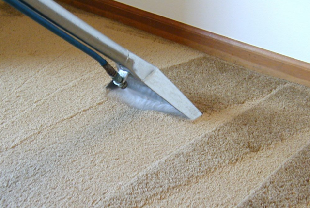 How to use carpet cleaning liquid detergent