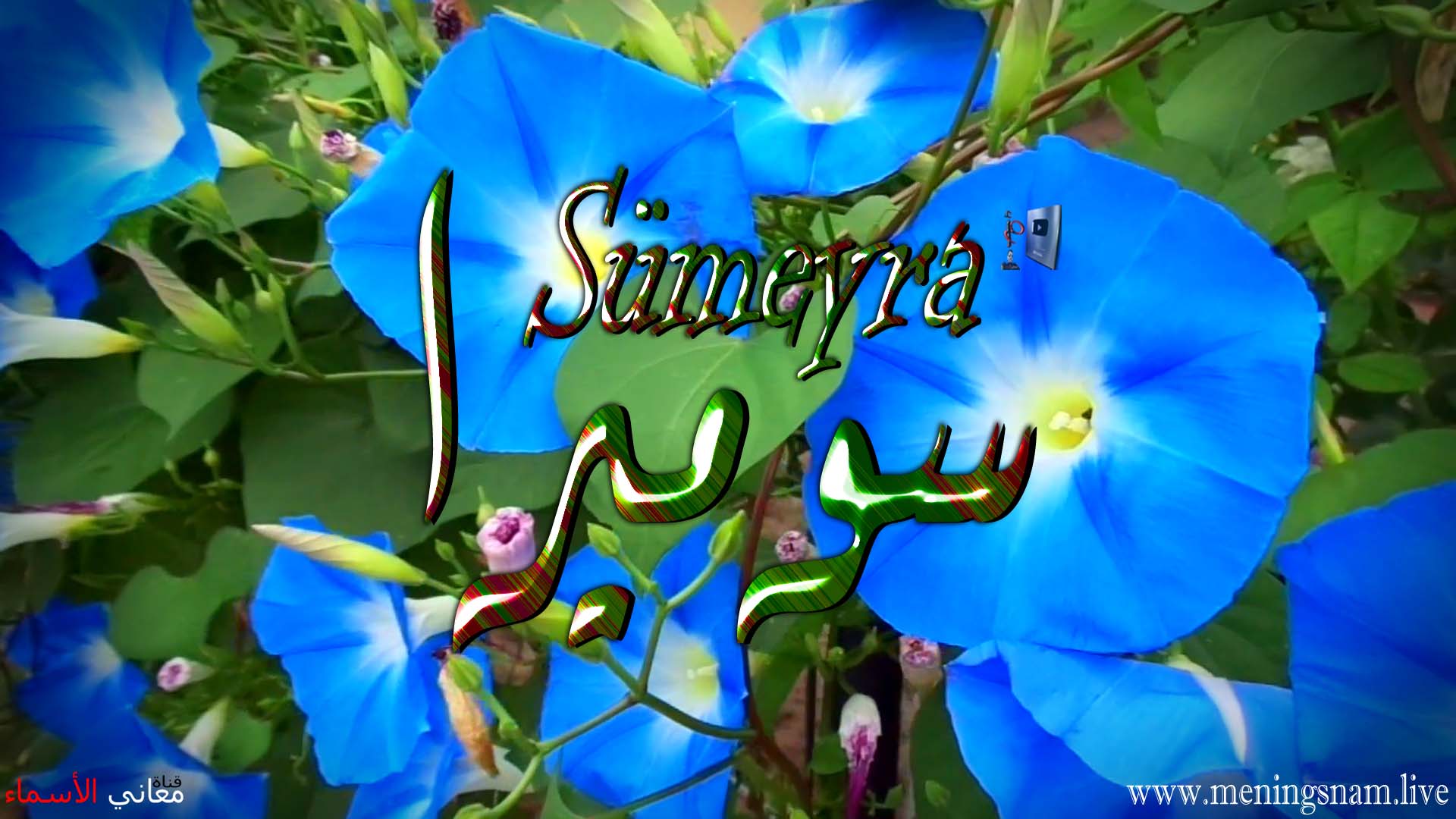 معنى اسم, سوميرا, وصفات, حاملة, هذا الاسم, Sumeyra,