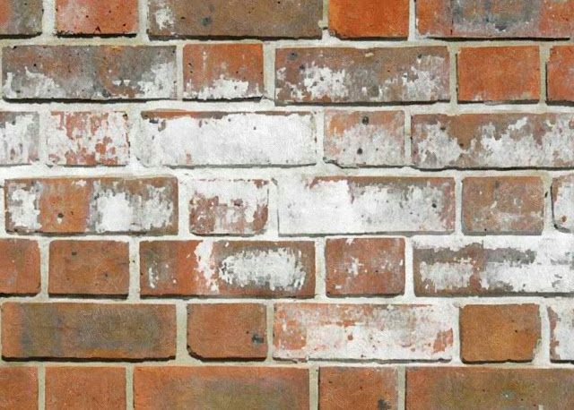 Efflorescence white stains powder on bricks masonry concrete blocks what are they