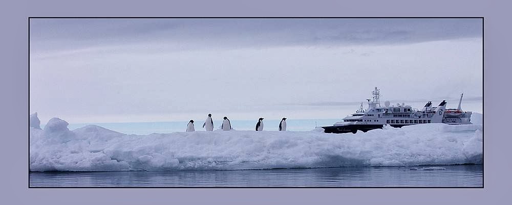 Cool Wallpaper of ship penguin ice and water