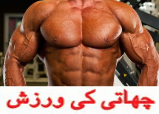 Bodybuilding Tips In Urdu