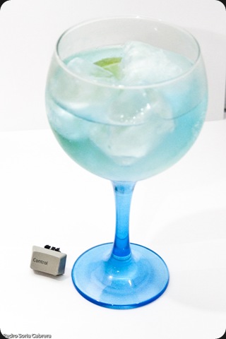 10072011Gin181-28