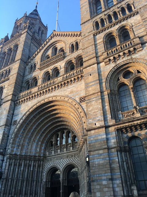 Musé d'histoire naturel londres