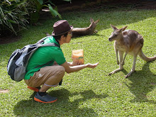 自分の写真