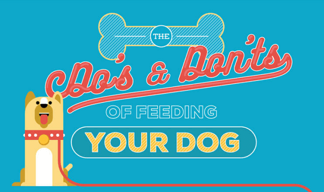 The Do’s And Don’ts of Feeding Your Dog