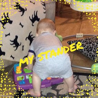 Photo of My Stander Wolfelicious