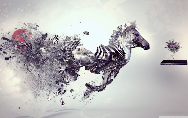 abstract, zebra, wallpaper, creative