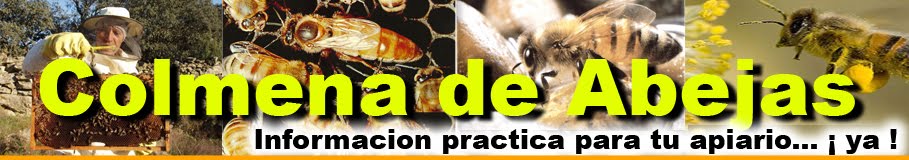 Colmena de Abejas