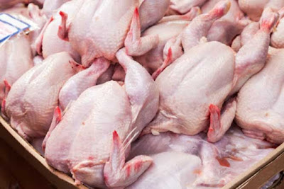 Ambon, Malukupost.com - Harga daging ayam kampung yang ditawarkan para pedagang di lokasi pasar Arumbay kawasan pasar Mardika, Kota Ambon sekarang ini cukup mahal. Hasil pantauan, Selasa (19/11), para pedagang mematok harga daging ayam kampung bervariasi dan masih tergantung pada ukuran besar dan kecil mulai dari Rp70.000 hingga Rp90.000/ekor, sebab sampai sekarang belum diterapkan sistem timbangan kiloan.