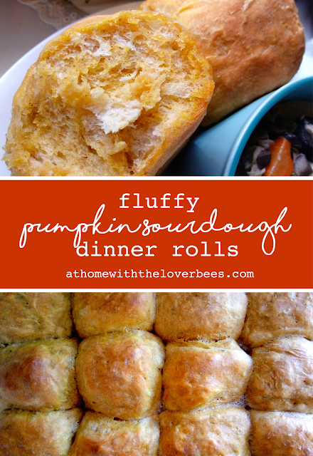 Fluffy Pumpkin Sourdough Dinner Rolls Pin