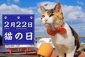 قط ياباني