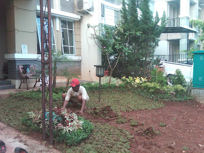 Building a Garden in The Green Cluster Viniyard BSD City