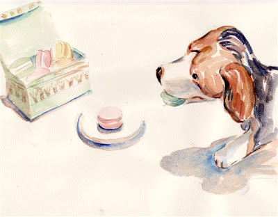 Westminster Beagles prefer French macarons