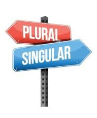 Singular Noun dan Plural Noun