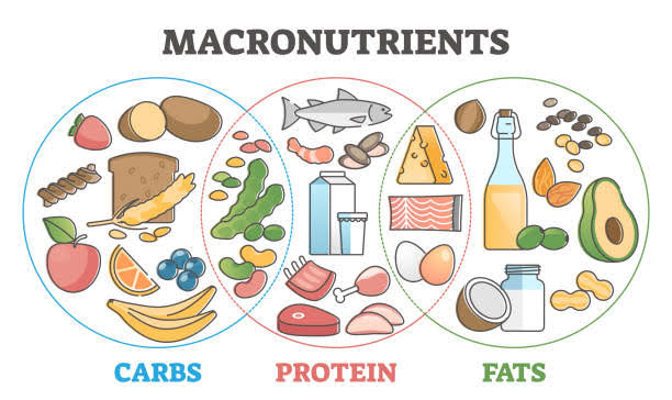  macros and micros