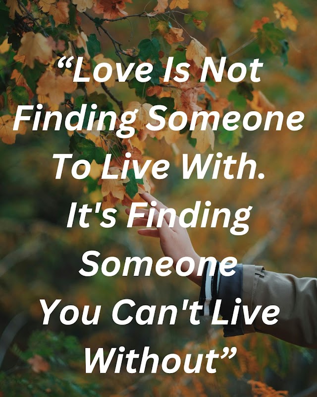 Love Is Not Finding Someone To Live With