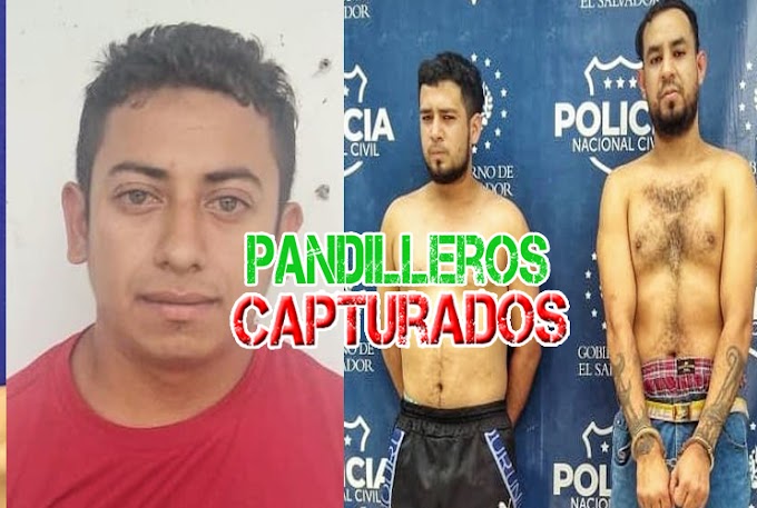 El Salvador: Policía captura a 3 pandilleros en diferentes puntos de San Martín