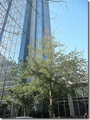 P1070103