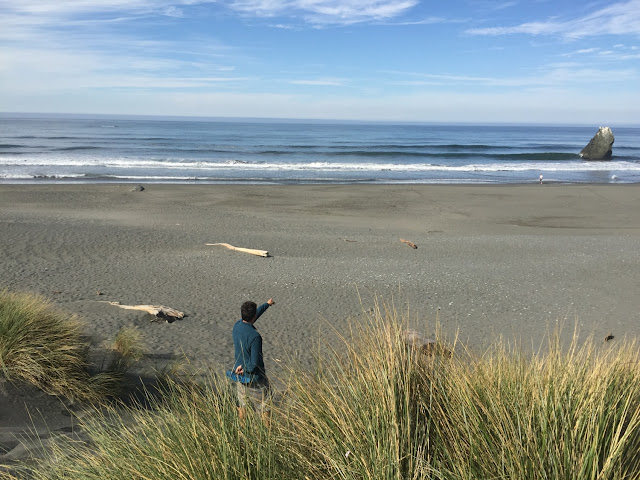 oregon, california, road trip, travel, sunkissed dream, oregon road trip, beach views, mountain views, pacific northwest, pnw, pacific coast, pacific coast travels, us route 101, ca 101, or 101