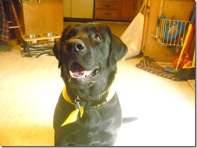 Riggs05-01-10b