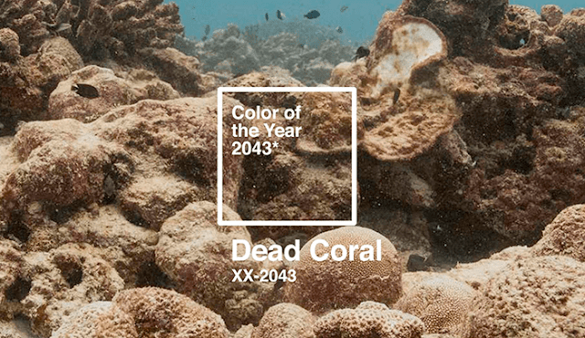 Dead-coral-color-PANTONE-del-año-2043-contaminación-marina